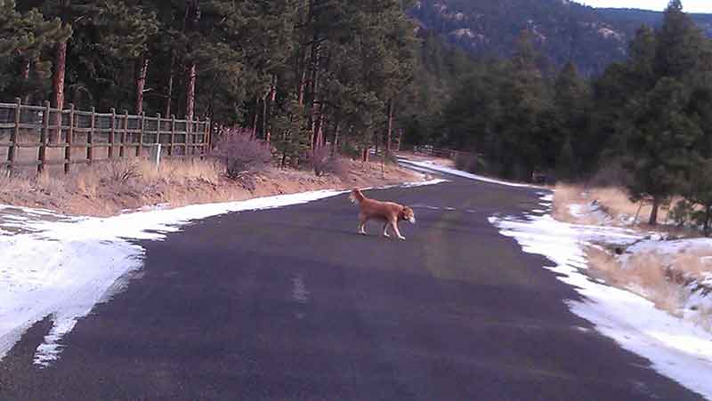 WOODSIDE PARK COLORADO